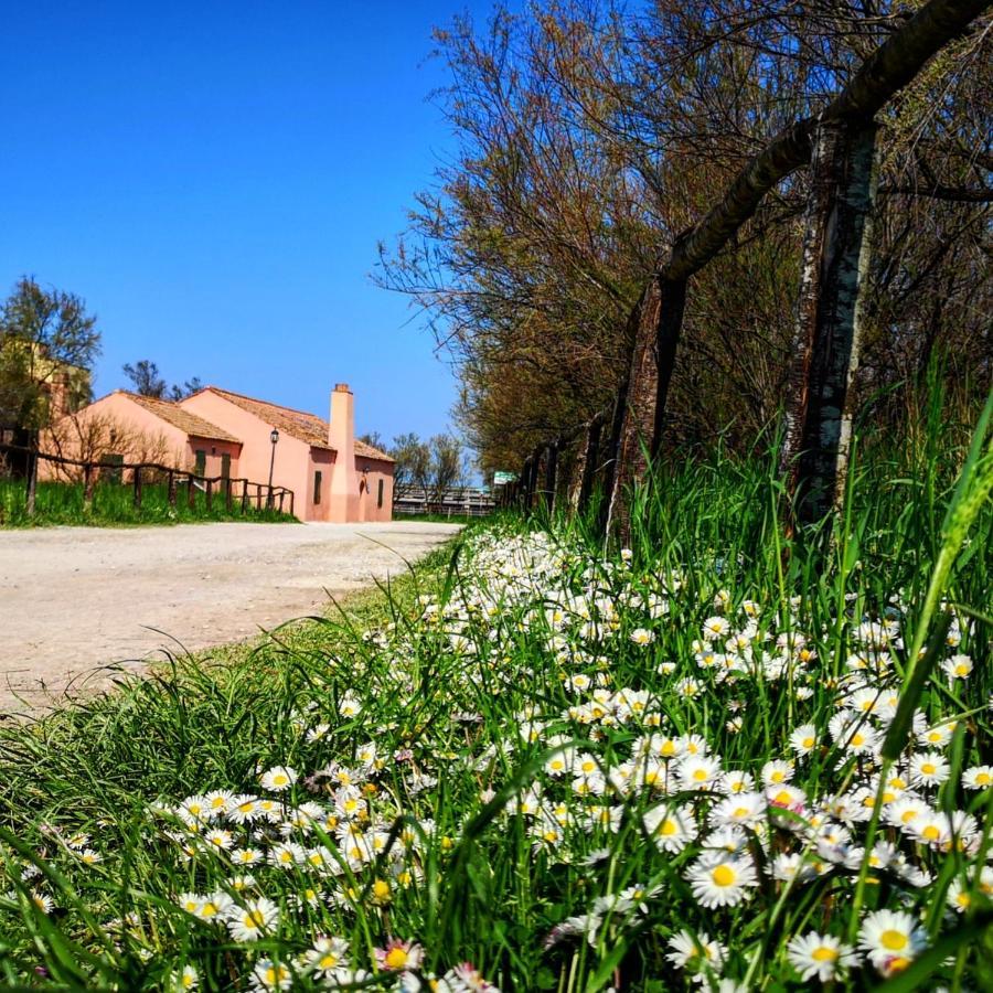 Residenza La Gallinella コマッキオ エクステリア 写真